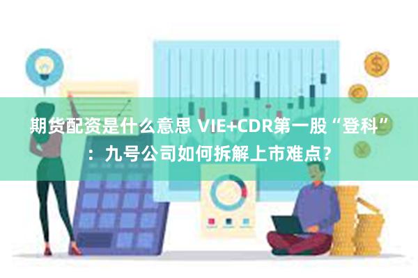 期货配资是什么意思 VIE+CDR第一股“登科”：九号公司如何拆解上市难点？