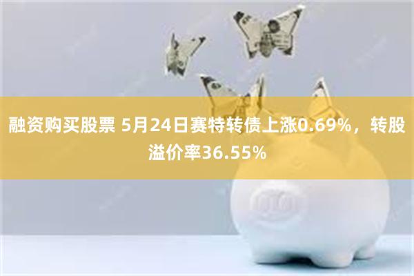 融资购买股票 5月24日赛特转债上涨0.69%，转股溢价率36.55%