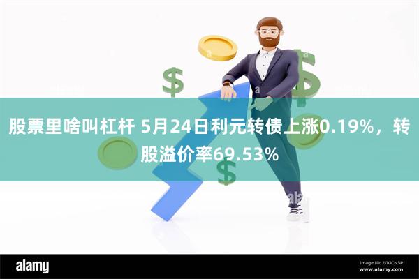 股票里啥叫杠杆 5月24日利元转债上涨0.19%，转股溢价率69.53%