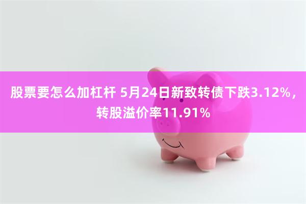 股票要怎么加杠杆 5月24日新致转债下跌3.12%，转股溢价率11.91%