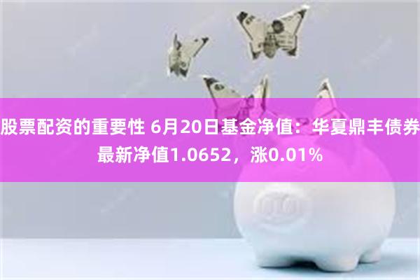 股票配资的重要性 6月20日基金净值：华夏鼎丰债券最新净值1.0652，涨0.01%