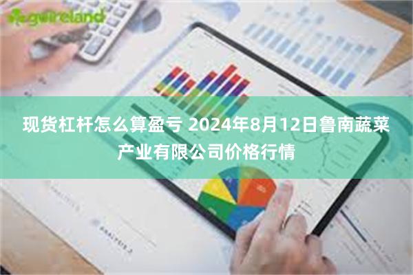 现货杠杆怎么算盈亏 2024年8月12日鲁南蔬菜产业有限公司价格行情