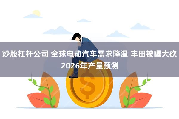 炒股杠杆公司 全球电动汽车需求降温 丰田被曝大砍2026年产量预测