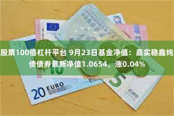 股票100倍杠杆平台 9月23日基金净值：嘉实稳鑫纯债债券最新净值1.0654，涨0.04%