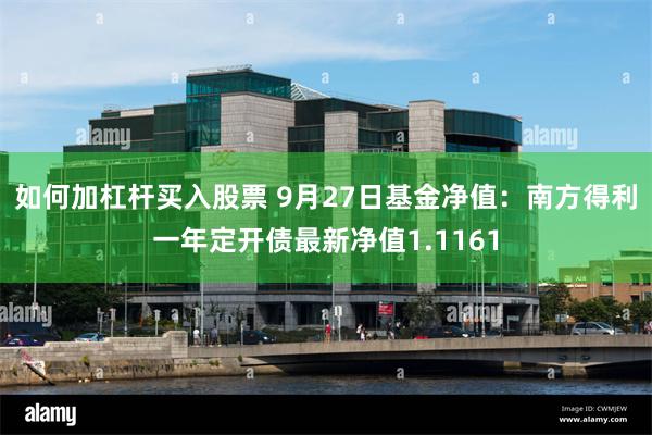 如何加杠杆买入股票 9月27日基金净值：南方得利一年定开债最新净值1.1161