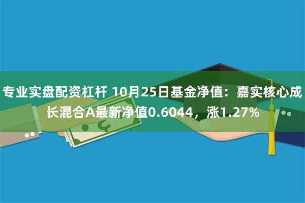 专业实盘配资杠杆 10月25日基金净值：嘉实核心成长混合A最新净值0.6044，涨1.27%