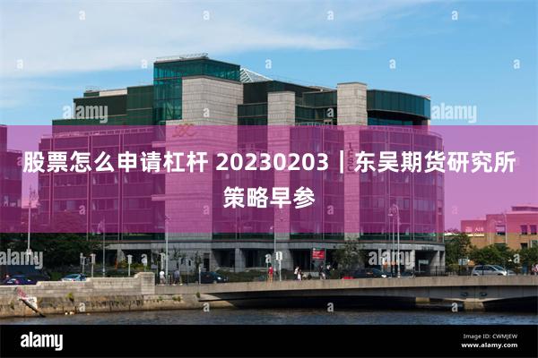 股票怎么申请杠杆 20230203｜东吴期货研究所策略早参