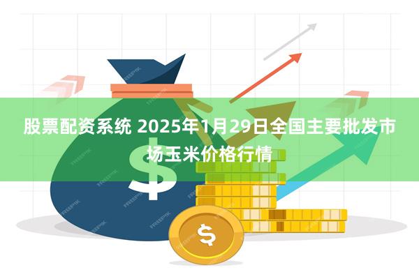 股票配资系统 2025年1月29日全国主要批发市场玉米价格行情